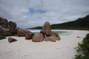 Anse Cocos.jpg